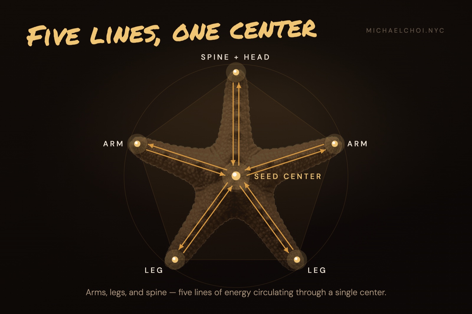 Five lines of energy — arms, legs, and spine — all organized around a single seed center